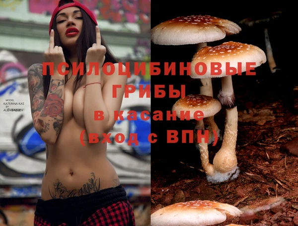 ГАЛЛЮЦИНОГЕННЫЕ ГРИБЫ Володарск